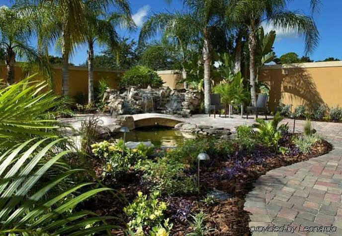 Courtyard Tampa Oldsmar Hotel Eksteriør billede
